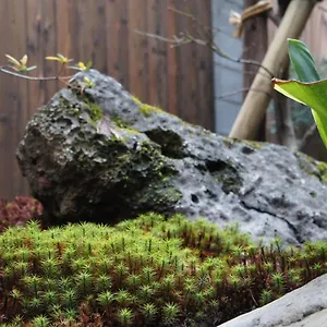 Korakuan , Kyoto Japon